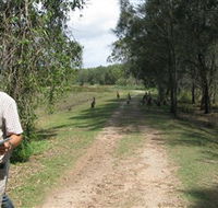 Coombabah Lakes Conservation Area - Holiday Adelaide