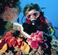 Nine Mile Reef Dive Site - Holiday Adelaide
