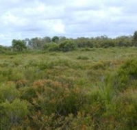 Pine Ridge Conservation Park - Holiday Adelaide