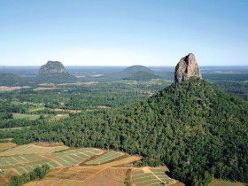 Mt Tibrogargan - Holiday Adelaide 0