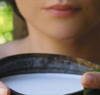 Ikatan Day Spa - Holiday Adelaide