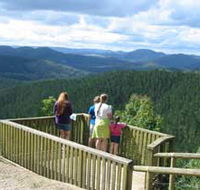 Kenilworth Forest Reserve - Holiday Adelaide