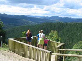 Kenilworth Forest Reserve - Holiday Adelaide 0