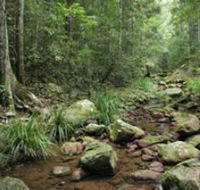 Amamoor State Forest - Holiday Adelaide