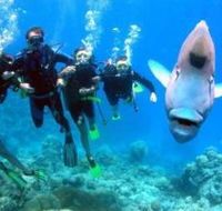 Jew Shoal Dive Site - Holiday Adelaide