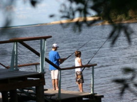 Currimundi Lake (Kathleen McArthur) Conservation Park - Holiday Adelaide 0