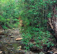Mudlo National Park - Holiday Adelaide