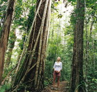 Wet Tropics - Holiday Adelaide