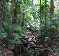 Mossman Gorge Rainforest Circuit Track Daintree National Park - Holiday Adelaide