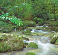 Mossman Gorge Daintree National Park - Holiday Adelaide