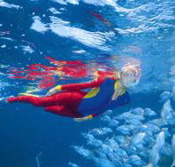 Great Detached Reef Dive Site - Holiday Adelaide