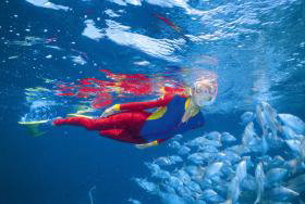 Great Detached Reef Dive Site - Holiday Adelaide 0