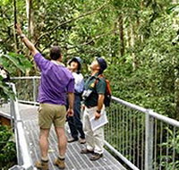 Daintree Discovery Centre - Holiday Adelaide