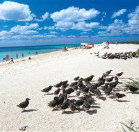 Michaelmas and Upolo Cays National Park - Holiday Adelaide