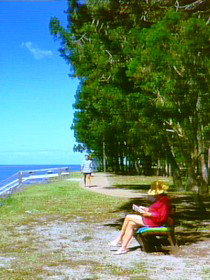 Melaleuca Track - Holiday Adelaide 0