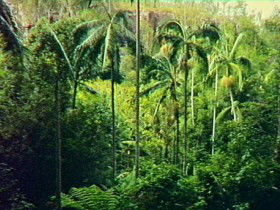 Monto QLD Holiday Adelaide