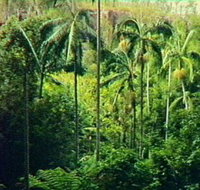 Fern Tree Pool and Giant's Chair Circuit - Holiday Adelaide