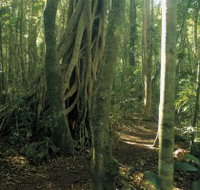 Mount Bithongabel - Holiday Adelaide