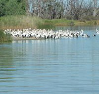 Lake Ross - Holiday Adelaide