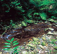 Wompoo Walk - Holiday Adelaide