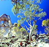 Mount Moffatt Section - Carnarvon National Park - Holiday Adelaide