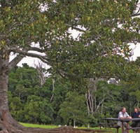 Ravensbourne National Park - Holiday Adelaide