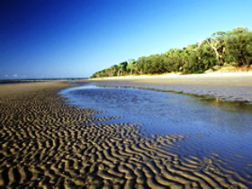 Kinkuna Section - Holiday Adelaide 0