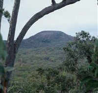 Mount Fox - Holiday Adelaide