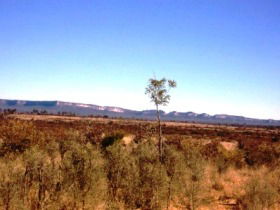 Tambos Wilderness Way - Holiday Adelaide 0