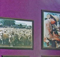 Charleville Photographic Display - Holiday Adelaide