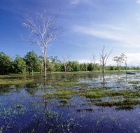 Tyto Wetlands - Holiday Adelaide