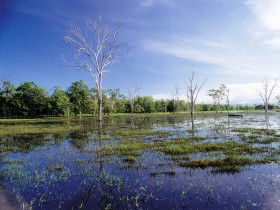 Tyto Wetlands - Holiday Adelaide 0