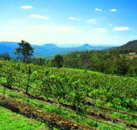 Preston Peak Wines - Holiday Adelaide