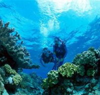 Coral Gardens Dive Site - Holiday Adelaide