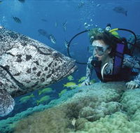 Pelorus Island - Holiday Adelaide