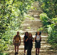 Wet Tropics Great Walk - Holiday Adelaide