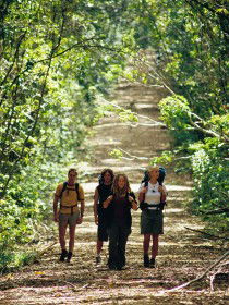 Wet Tropics Great Walk - Holiday Adelaide 0