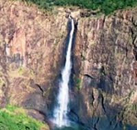 Buujan Quiinbiira Walk Wet Tropics Great Walk - Holiday Adelaide