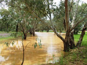 Saddliers Waterhole And Hamburg Creek - Holiday Adelaide 0