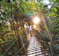 Tree Top Walkway - Holiday Adelaide