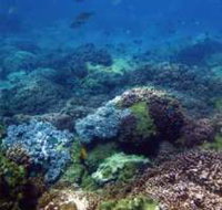 Hoffman's Rocks Dive Site - Holiday Adelaide