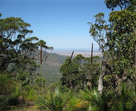 Zamia Walk - Holiday Adelaide 0