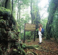 Tooloona Creek circuit - Holiday Adelaide