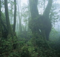 West Canungra Creek Circuit - Holiday Adelaide
