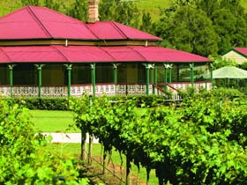 OReillys Canungra Valley Vineyards - Holiday Adelaide 0