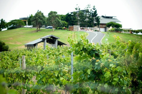 Sirromet Winery - Holiday Adelaide 10