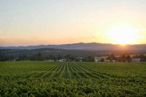 Sirromet Winery - Holiday Adelaide 13