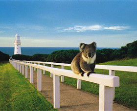 Cape Otway Lightstation - Holiday Adelaide 0