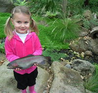 Wild Food Farm  Cafe - Holiday Adelaide