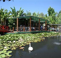 Blue Lotus Water Garden - Holiday Adelaide
